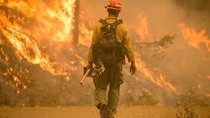 May 15, 2021 · the oregon department of forestry declared a saturday start to fire season in klamath and lake counties, as reported by the herald and news. Oregon Dept Of Forestry Says It S Responded To 30 Human Caused Fires In Past Week Alone Katu