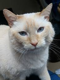 Garrett Ring (@garrett_ring)