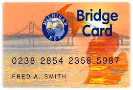 The systems are intended for use only by authorized persons and only for official state business. Gov Rick Snyder Signs Bills Banning Bridge Card Cash Withdrawals From Strip Clubs Liquor Stores Mlive Com