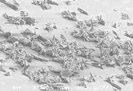 Континент, 1975, 4