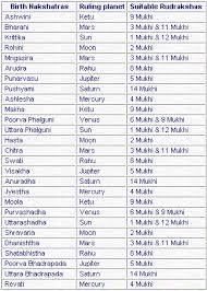 rudrakshas as per your astrological birth chart astrojyoti