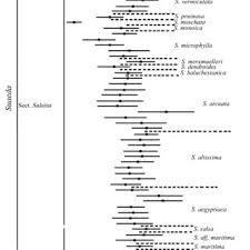 Image result for Suaeda merxmuelleri