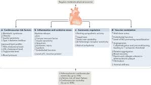 Regular exercise strengthens muscles, loosens joints, keeps you from gaining. The Effects Of Endurance Exercise On The Heart Panacea Or Poison Nature Reviews Cardiology