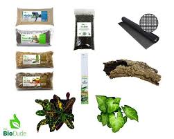 Crested Gecko Bioactive Kit Basic Crested Gecko Gecko Crest