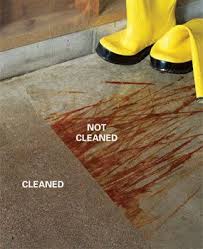 Maybe you would like to learn more about one of these? How To Remove Paint From Concrete And Other Stains Cleaning Hacks House Cleaning Tips Stained Concrete