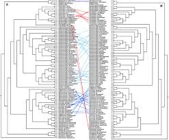 To find as much success as is possible for . Frontiers Phylogenomics Of The Andean Tetraploid Clade Of The American Amaryllidaceae Subfamily Amaryllidoideae Unlocking A Polyploid Generic Radiation Abetted By Continental Geodynamics Plant Science