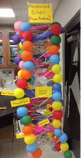 Pin On Biology Is Awesome