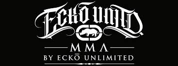 Ecko unlimited mens dark blue denim baggy fit applique jeans pants size 36w top rated seller. Brands Ecko Unltd Mma Streetjoy Streetwear Hip Hop Clothing Online Shop