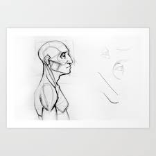 The torso or trunk is an anatomical term for the central part, or core, of many animal bodies (including humans) from which extend the neck and limbs. Outline Drawing Sketch Of Side Profile Of A Human Male Head And Torso Anatomy Illustration Kunstdrucke Von Oanaunciuleanu Society6