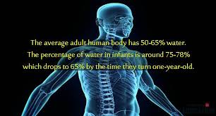 Some people study the human body. Human Body 30 Unbelievable Facts About Human Body Education Today News