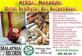 Adat pantang larang suku tidung|podcast halo taka sino. Herba Maharani