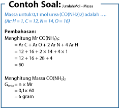 Berilah tanda silang (x) pada hu Contoh Soal Konsep Mol Mencari Massa Idschool
