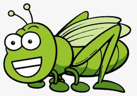 Cartoon insect bug seamless pattern. Insect Cricket Cartoon Free Transparent Clipart Clipartkey