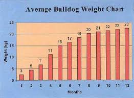 bulldog nutrition and average bull weight chart