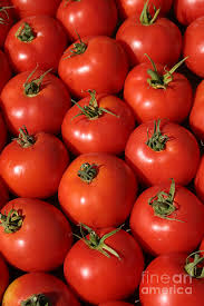 We did not find results for: A Trip Through The Farmers Market With Red Tomatoes Photograph By Michael Ledray