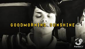 Good morning cat morning morning good morning sunshine good morning picture morning pictures animated good morning quotes, sayings and images to share on twitter, instagram, facebook. Great Good Morning Sunshine Gifs On Pandagif Best Good Morning Sunshine Gifs