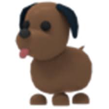 We have lab puppies for sale in chocolate throughout the year. Chocolate Labrador Adopt Me Wiki Fandom