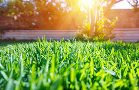 If you want to open lawn business! Spring Lawn Care Tips Pro Sprinklers Systems