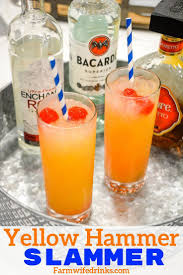 Yellow Hammer Slammer Drink Alcoholic Drinks With Pineapple Juice Strong Alcoholic Drinks Vodka Recipes Drinks