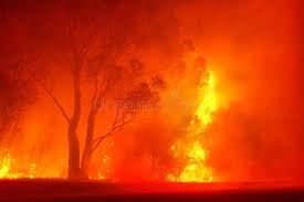 Firefighters were on friday still battling to contain a major wildfire, fanned by hot and windy conditions, that has been burning in the mountains near stellenbosch. Forest Fire In Night Shot Near Stellenbosch Western Cape South Africa Ad Night Shot Forest Fire Stel Forest Fire Stock Images Free Stock Images