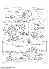 Coloring Page Prairie Dog Free Printable Coloring Pages Img 3075