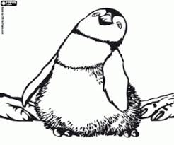 Ausmalbilder Pinguin Familie Happy Feet Zum Ausdrucken