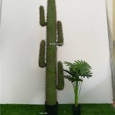Check spelling or type a new query. Cactus Bonsai Plant Artificial Tropical Desert Plant Simulation Cactus Bonsai Buy Cactus Bonsai Cactus Simulation Cactus Product On Alibaba Com
