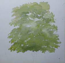 Beeindruckende kunstwerke mit acryl malen leicht gemacht. Einen Baum Malen Mit Aquarellfarben John Fisher Wie Malt Man De Zeichnen Lernen Malen Lernen Online Malkurs Mit Acryl Und Olfarbe Malenwie Malt Man De Zeichnen Lernen Malen Lernen Online Malkurs Mit Acryl Und Olfarbe Malen