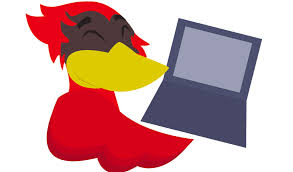 Buzzfeed staff if you get 8/10 on this random knowledge quiz, you know a thing or two how much totally random knowledge do you have? Test Your Redbird Knowledge With This Isu Trivia Quiz Videtteonline Com