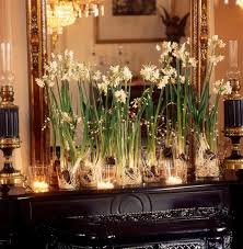 10 Paperwhite Narcissus Extra Large Bulbs Winter Blooms Indoor Forcing Holiday Christmas Flowers In 2020 Christmas Flowers Christmas Fireplace Diy Christmas Fireplace