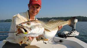 Saltwater Fly Fishing Light Tackle Fishing Chesapeake Bay Of Virginia Fly Fishing Fly Fishing Rods Trout Fishing