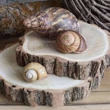 Deko Schnecken In 2020 Snail Instagram Style