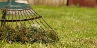 If your lawn is looking worse for the wear, it may be time for dethatching, and the choice of a dethatcher depends on the size of the lawn and the thickness of the thatch layer. Things To Never Do To Your Lawn In Spring Milorganite