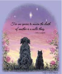The grief of losing a pet can be compounded by the fact that some friends and family members may have trouble understanding your despair. Whitewater Veterinary Hospital Veterinarian In Whitewater Wi Us Pet Loss