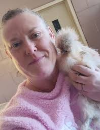 Do chickens eat barley from breweries?