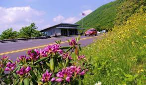 Though barely a mile, the craggy gardens trail features lots of rhododendron, hardwood forest, a gazebo, and a trail shelter. Craggy Gardens Blue Ridge Parkway