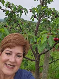 We are excited to announce that PYO Cherries is now open. Our hours are  Monday to Friday, 8am to 6pm, Saturday, 8am to 4pm, and Sunday, 12:30pm to  5pm. Michelle Burkett kindly