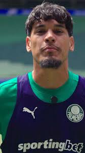 Informamos que estamos adotando as medidas cabíveis nas esferas criminal e  cível contra o proprietário do domínio palmeirasingressos.com, que oferece  ingressos falsos para o jogo contra o Boca Juniors-ARG, pela semifinal da