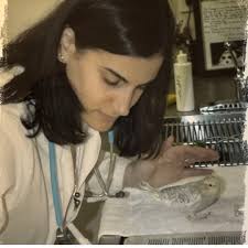 Meet one of our mentors, Dr. Serena Brenner! 🐾🩺 With an MS in Avian  Sciences and a DVM from UC Davis, Dr. Brenner brings over 20 years of  clinical experience in shelters,