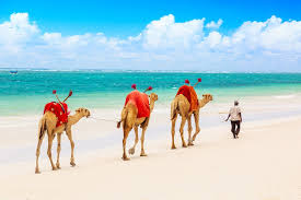This is an extremely diverse place. Kenya In August Travel Tips Weather And More Kimkim