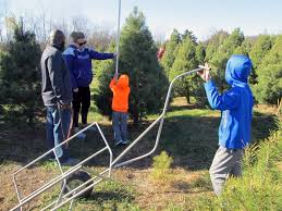 Maybe you would like to learn more about one of these? Fresh Cut Christmas Trees Remain A Family Favorite Kansas State University News And Communications Services