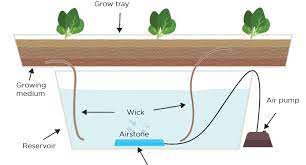 Advantages Disadvantages Of Hydroponics Trees Com Hydroponics System Hydroponics Hydroponics Diy