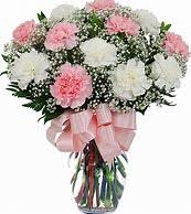 Flowers by marianne is located in hampton falls city of new hampshire state. Carnations And Babys Breath
