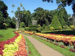 Check spelling or type a new query. Royal Botanical Gardens Peradeniya Wikipedia