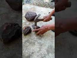 Psst, ternyata sagu punya banyak manfaat kesehatan lho. Ulat Dalam Batu Boleh Hidup Youtube