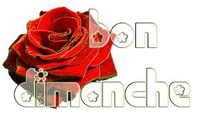 Résultat de recherche d'images pour "bon dimanche"