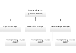 Example Of Organization Structure In Finance Outsourcing