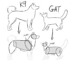 Daily Art Tutorials For Study On Instagram Follow Artiststudyhall For More Amazing Tutorials I Don T Reall Canine Drawing Animal Drawings Animal Sketches