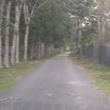 Check spelling or type a new query. Tanah 6 225 Ekar Kampung Bolok Hilir Temerloh Lanchang Pahang Property For Sale On Carousell