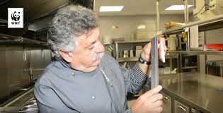 Ειδήσεις, video, ειδησεις τωρα και νέα για λευτερησ λαζαρου κορωνοιοσ από το pagenews.gr. Leyterhs Lazaroy Ti Leei Gia To Neo Lockdown Sthn Estiash To Pontiki